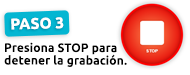 Paso 3